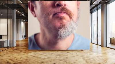 A portrait of man with half beard and hair Wall mural