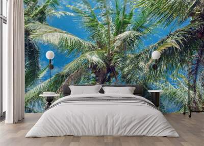 Coconut palms and blue sky with light clouds Wall mural