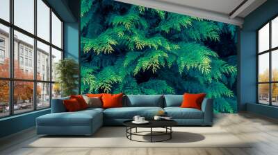 tropical leaf texture, dark green foliage nature background Wall mural