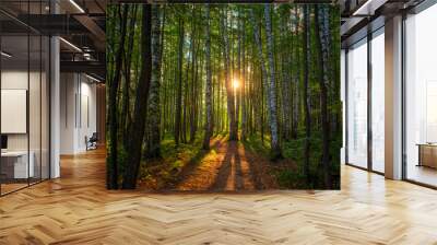 A path in a birch grove at dawn, the rising sun in the center Wall mural