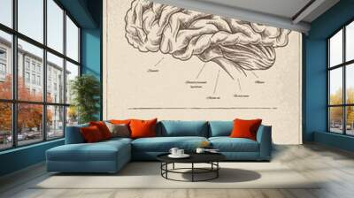 Medical vintage poster with brain vector Wall mural