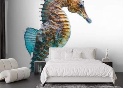 Sea horse detailed closeup PNG on transparent isolated background Wall mural