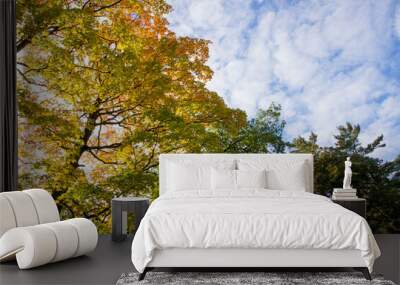 yellow foliage against a blue sky background Wall mural