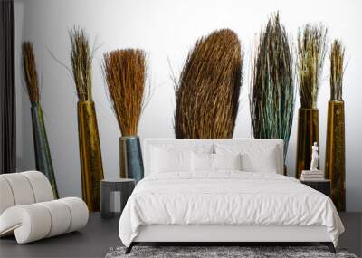 Paint brushes for different sizes. White background. Macro. Wall mural