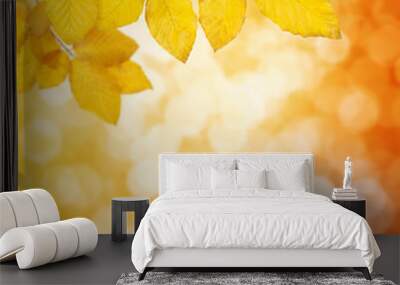  Autumn leaves on the sun Wall mural