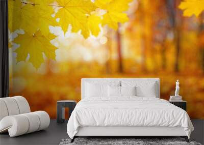  Fall blurred background. Wall mural