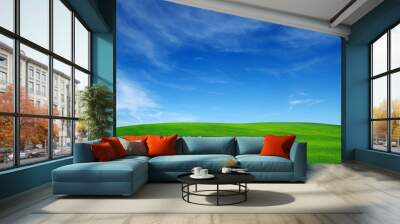  field and sky Wall mural