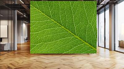  green leaf texture Wall mural