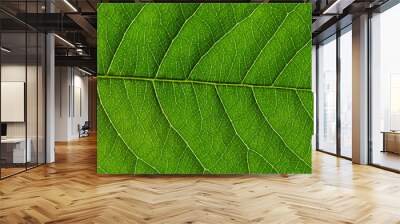  green leaf texture Wall mural