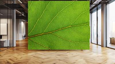  green leaf texture Wall mural