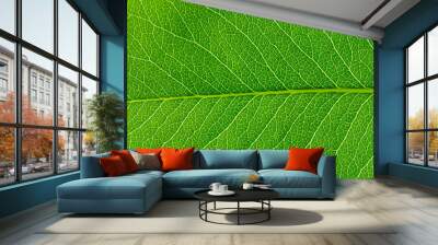  green leaf texture Wall mural