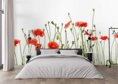 beautiful red poppies Wall mural