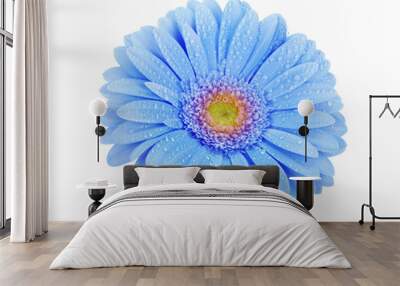 blue flower isolated on white Wall mural