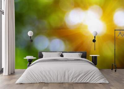 Green blurred background Wall mural