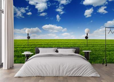 green field and blue sky Wall mural