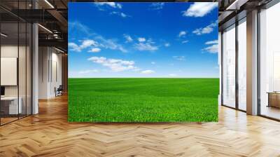 green field and blue sky Wall mural