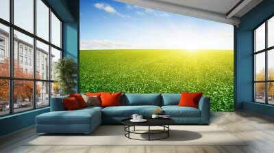 green field and blue sky Wall mural