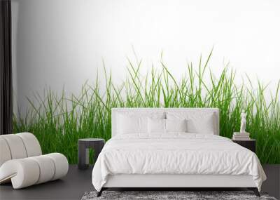 Green grass on white background Wall mural