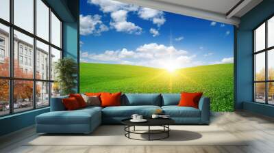 Green meadow and sun. Wall mural