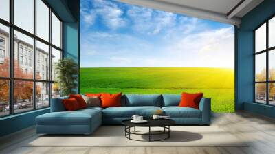 Green meadow and sun. Wall mural