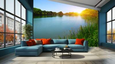 Lake water and sun Wall mural