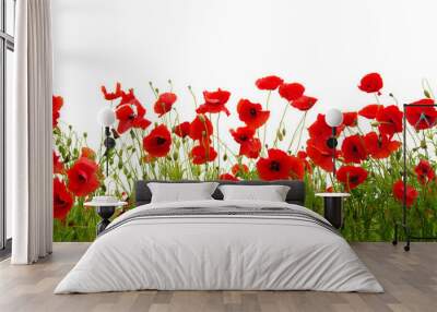 red poppy Wall mural