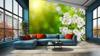 Spring blossom with soft blur background Wall mural