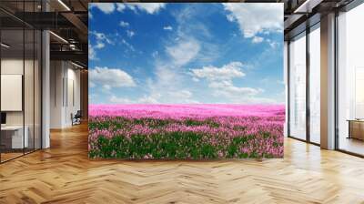 Spring flower field Wall mural