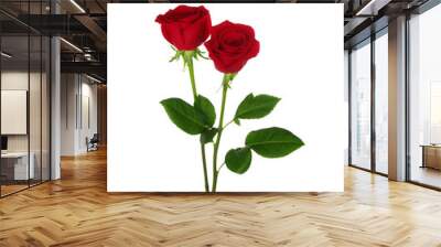 two red rose Wall mural