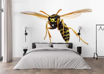 wasp isolated on white Wall mural