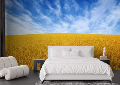 wheat field and sky Wall mural