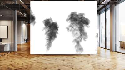 A perfect set of four different mystical curly black steam or smoke on a white background, negative. Wall mural