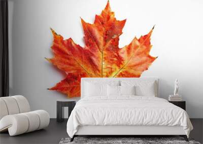 A single red and yellow leaf sits on a white surface, great for autumn or nature-themed designs Wall mural