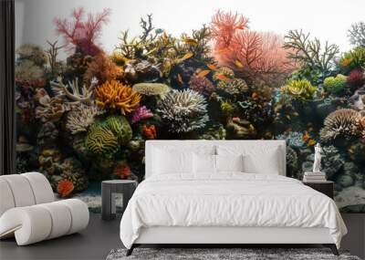 A vibrant and diverse coral reef in a fish tank, suitable for illustrations about aquatic life or tropical environments Wall mural