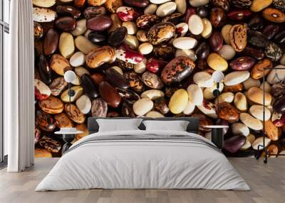 assortment of dried multi-colored beans from above, healthy ingredient, background Wall mural