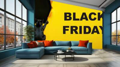 Banner advertising Black Friday with black cat tearing a hole in bright yellow paper background and space for copy. Large lettering BLACK Friday. Advertising the biggest sale ever Wall mural