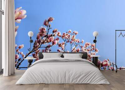 Beautiful pink magnolia tree blooming in the spring, Czech republic. Europe. Wall mural