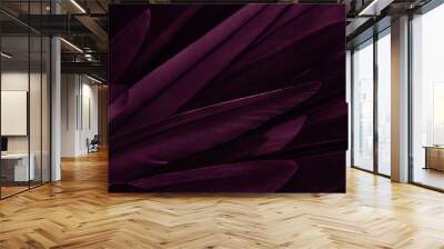 Exotic texture feathers background, closeup bird wing. Burgundy dark red feathers for design and pattern. Wall mural