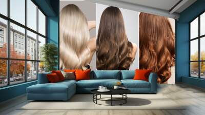 Hair of different shades of brunette, blonde and red. Woman collage back view Wall mural