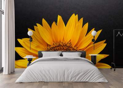 Half a sunflower on a black background. Beautiful bright background. Summer. Sunny Wall mural