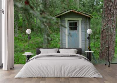 Wooden toilet in the green forest. Blue colored natural bio WC cabin among trees on green grass. Finland summer holidays Wall mural