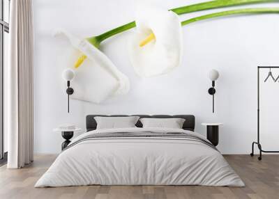 calla lilies Wall mural