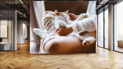 Girl with cat relaxing on a sofa Wall mural