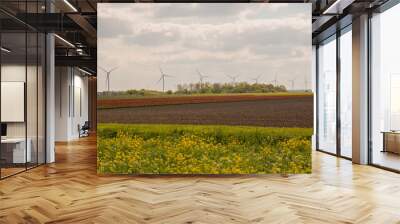 wind turbines farm Wall mural