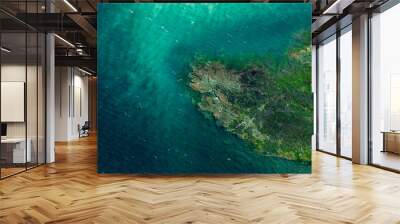 Reef with green sea Wall mural