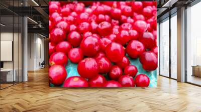 scattering of ripe red bright cranberries close-up, background, wallpaper Wall mural