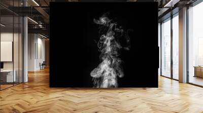 Smoke fragments on a black background. Abstract background, design element, for overlay on pictures Wall mural