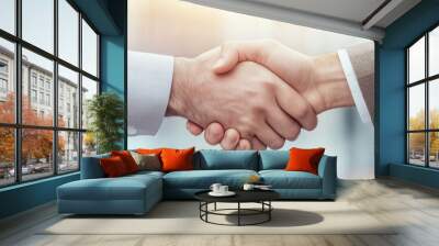 Two businessmen exchanging handshake on light background,.teamwork, partnership deals, business cooperation. Handshake of business people to work together on merger and acquisition of business Wall mural