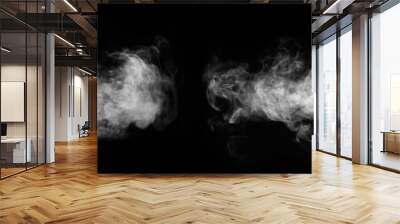 White horizontal smoke collection on black background. Fog or smoke set isolated on black background. White cloudiness, mist or smog background. Wall mural