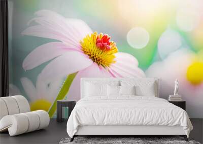 beautiful fresh flower on blurred natural background, garden and spring photo, shallow depth of field Wall mural